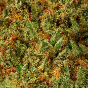 Super Lemon Haze - 10moods