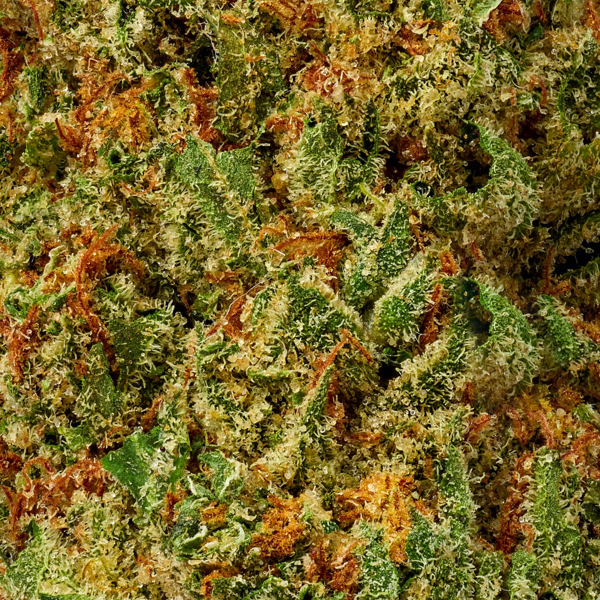 Super Lemon Haze - 10moods