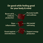 Immune Boost THC Gummies - 10moods