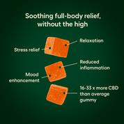 Pure Relief CBD Gummies - 10moods