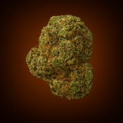 Tangie - 10moods
