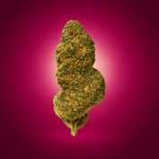 Cupid’s Kush - 10moods