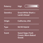Wonder Bread - 10moods