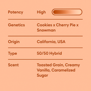 Spark and Chill Pre - Roll Duo - 10moods