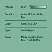 Spark and Chill Pre - Roll Duo - 10moods