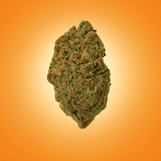 Super Lemon Haze - 10moods