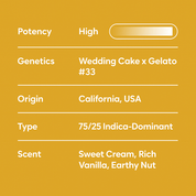 Ice Cream Cake - 10moods
