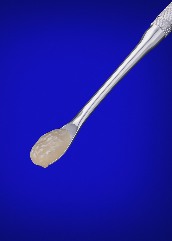 ChatGPT_Image_6_de_jun._de_2025_13_16_40.png