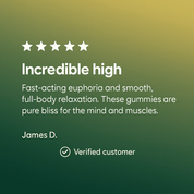 Hero Dose Rapid - Onset THC Gummies - 10moods