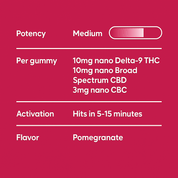 Epic Euphoria THC + Mushroom Gummies - 10moods