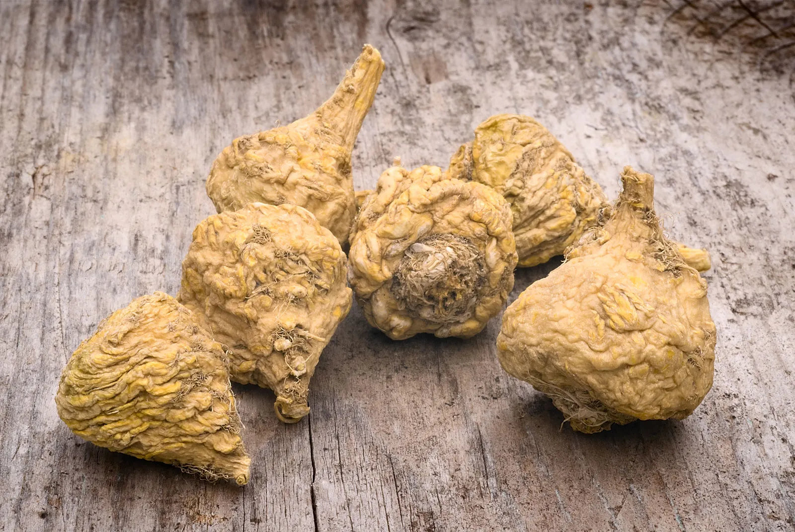 Maca-plant-Lepidium-meyenii.webp