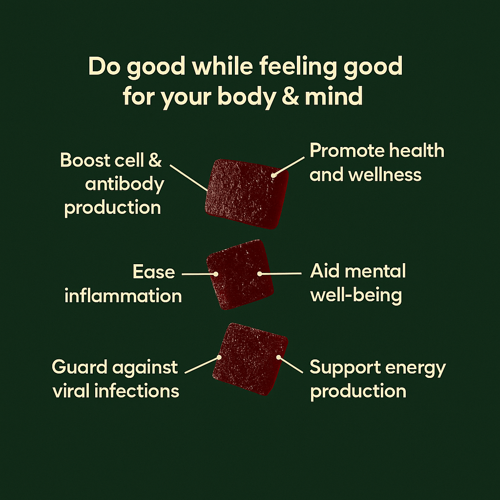 Immune Boost THC Gummies - 10moods