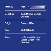 Gush Mintz - 10moods