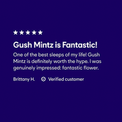 Gush Mintz - 10moods