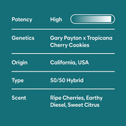 Gary’s Cherries - 10moods