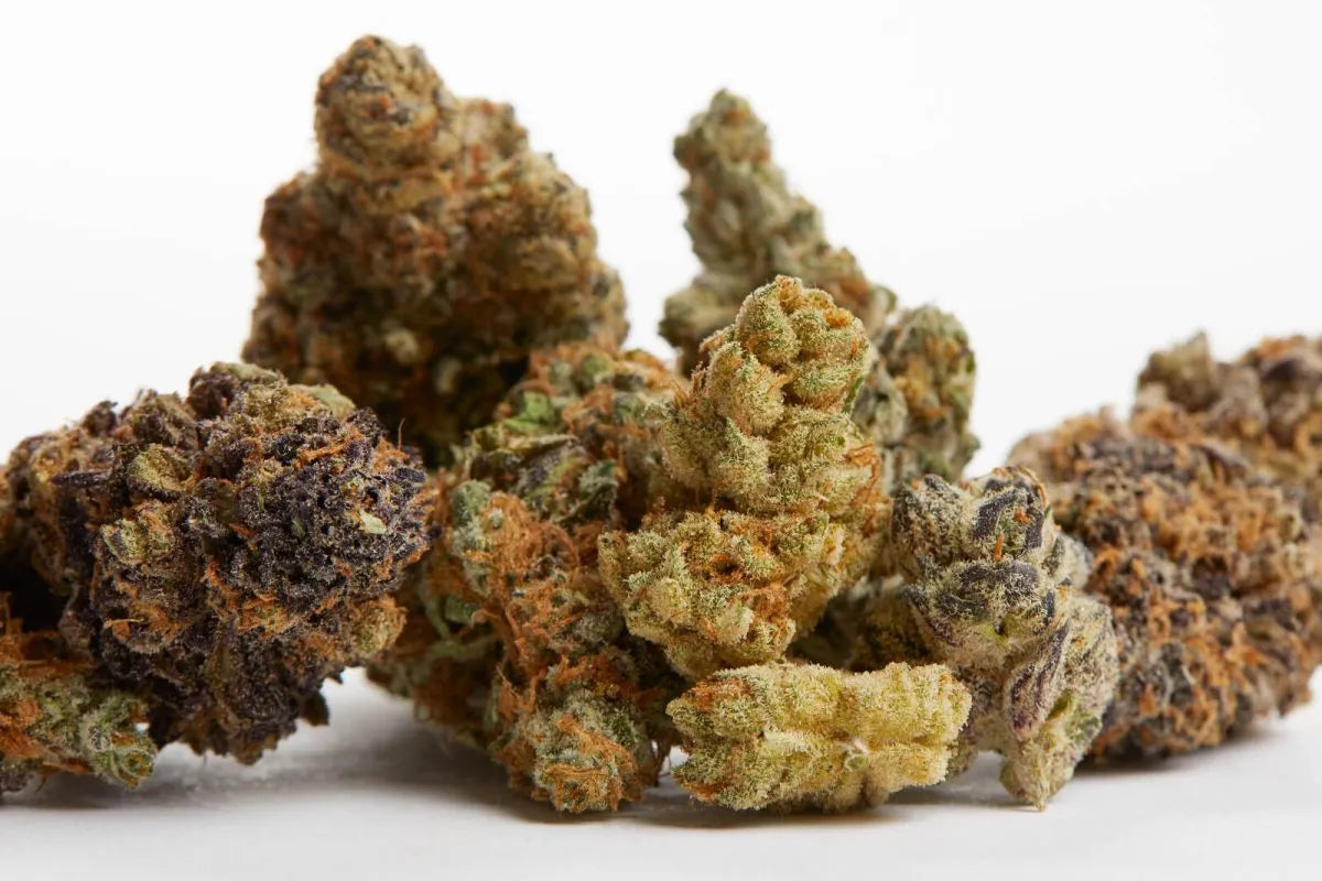 flowering-cannabis-1200x800.webp